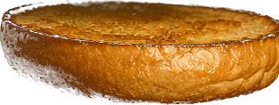 toasted brioche bottom bun