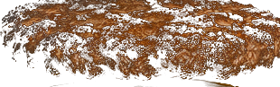 smashed beef patty